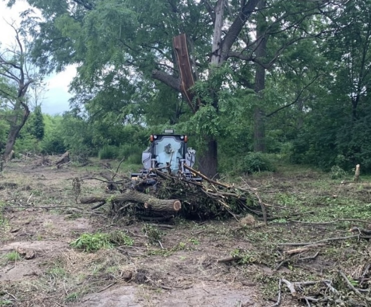 Land Clearing