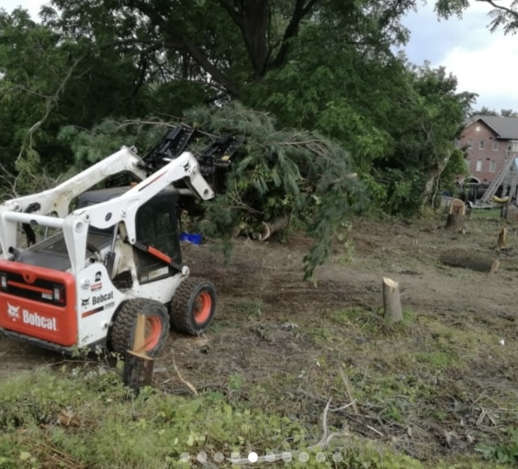 Land Clearing