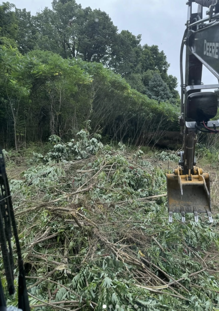 Land Clearing & Excavation